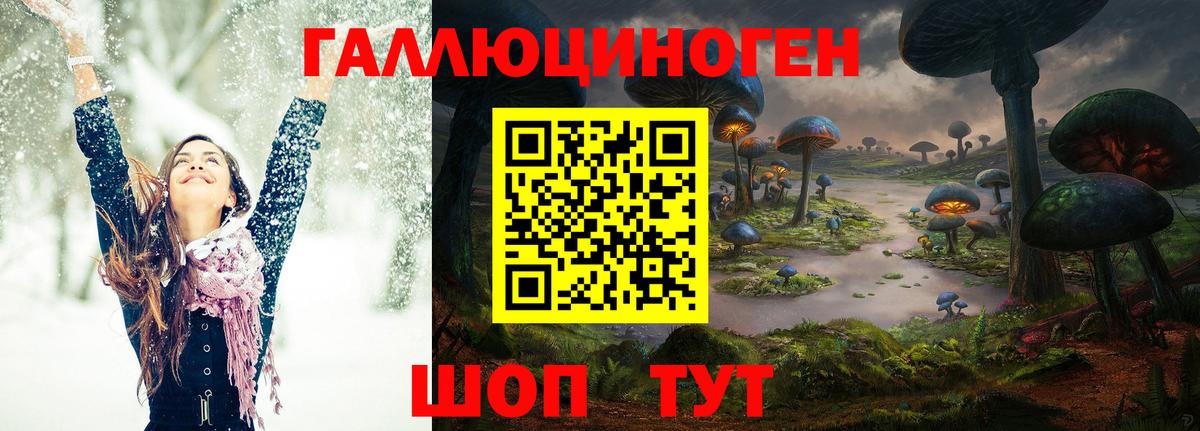 Галлюциногенные грибы MAGIC MUSHROOMS  Вход с VPN  Гусев  Галлюциногенные грибы ЛСД 